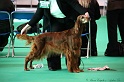 Crufts2011 010